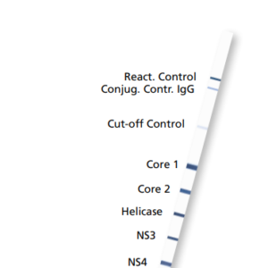 recomLine HCV 20 DET