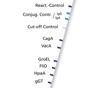 recomLine Helicobacter pylori 20 DET