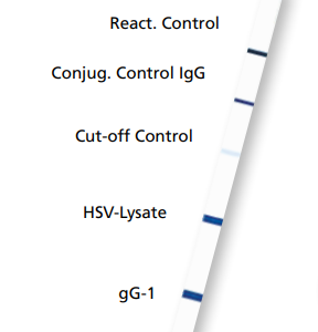 recomLine Herpes simplex(HSV-1&HSV-2) 20 DET