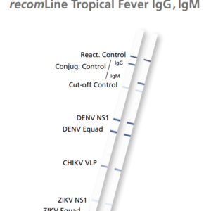 recomLine Tropical Fever  (Dengue, Chikungunya y Virus del Zika) 20 DET